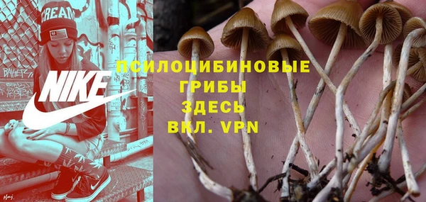 мяу мяу мука Армянск