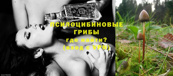 мяу мяу мука Арсеньев