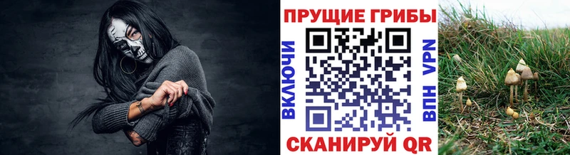 darknet какой сайт  Райчихинск  Псилоцибиновые грибы ЛСД 